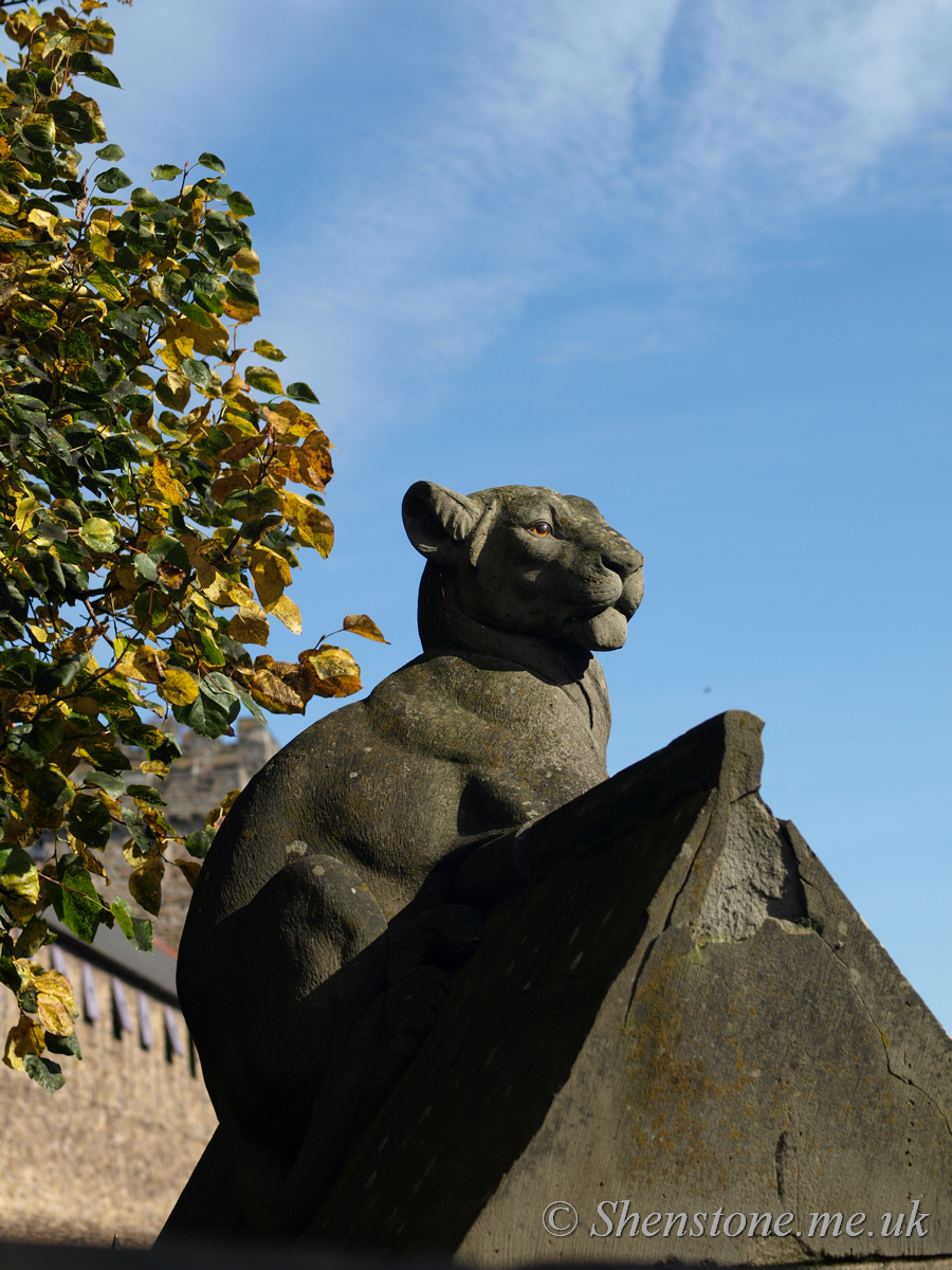 Bute Park Animal Wall