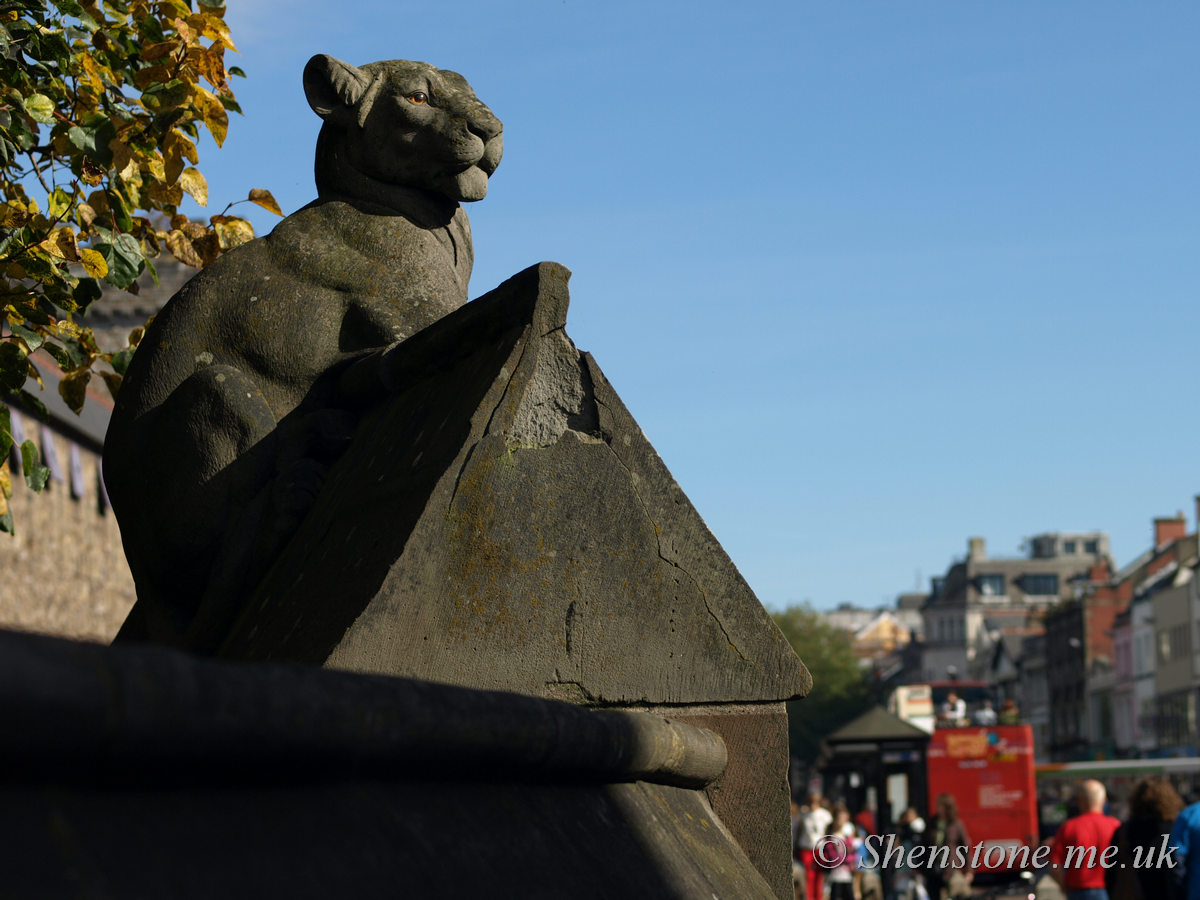 Bute Park Animal Wall