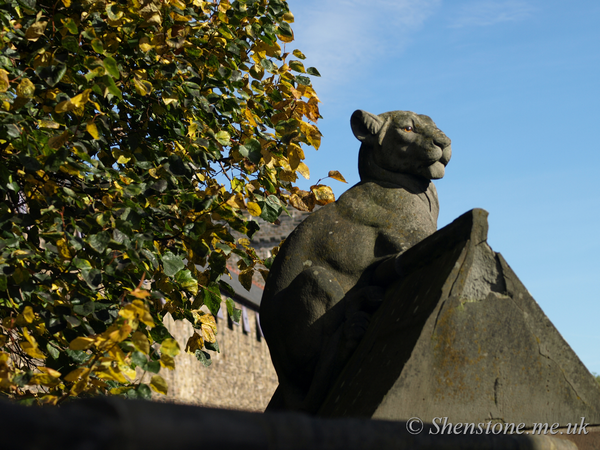 Bute Park Animal Wall