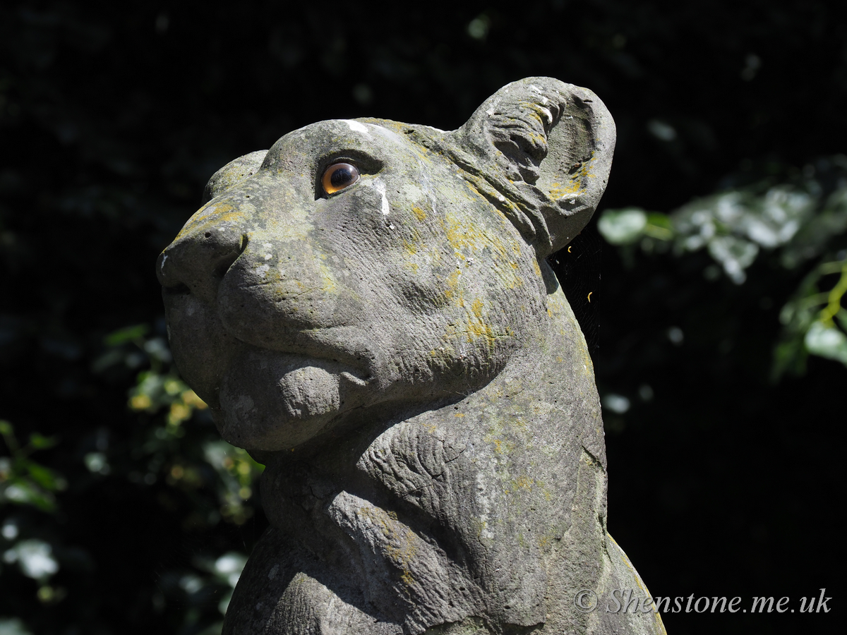 Bute Park Animal Wall