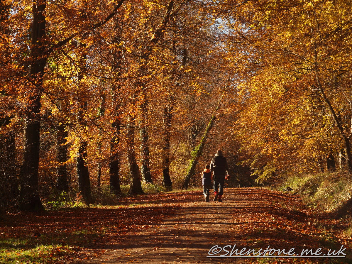 Wentwood, Newport, Wales  