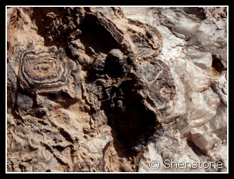 Sphalerite and Calcite