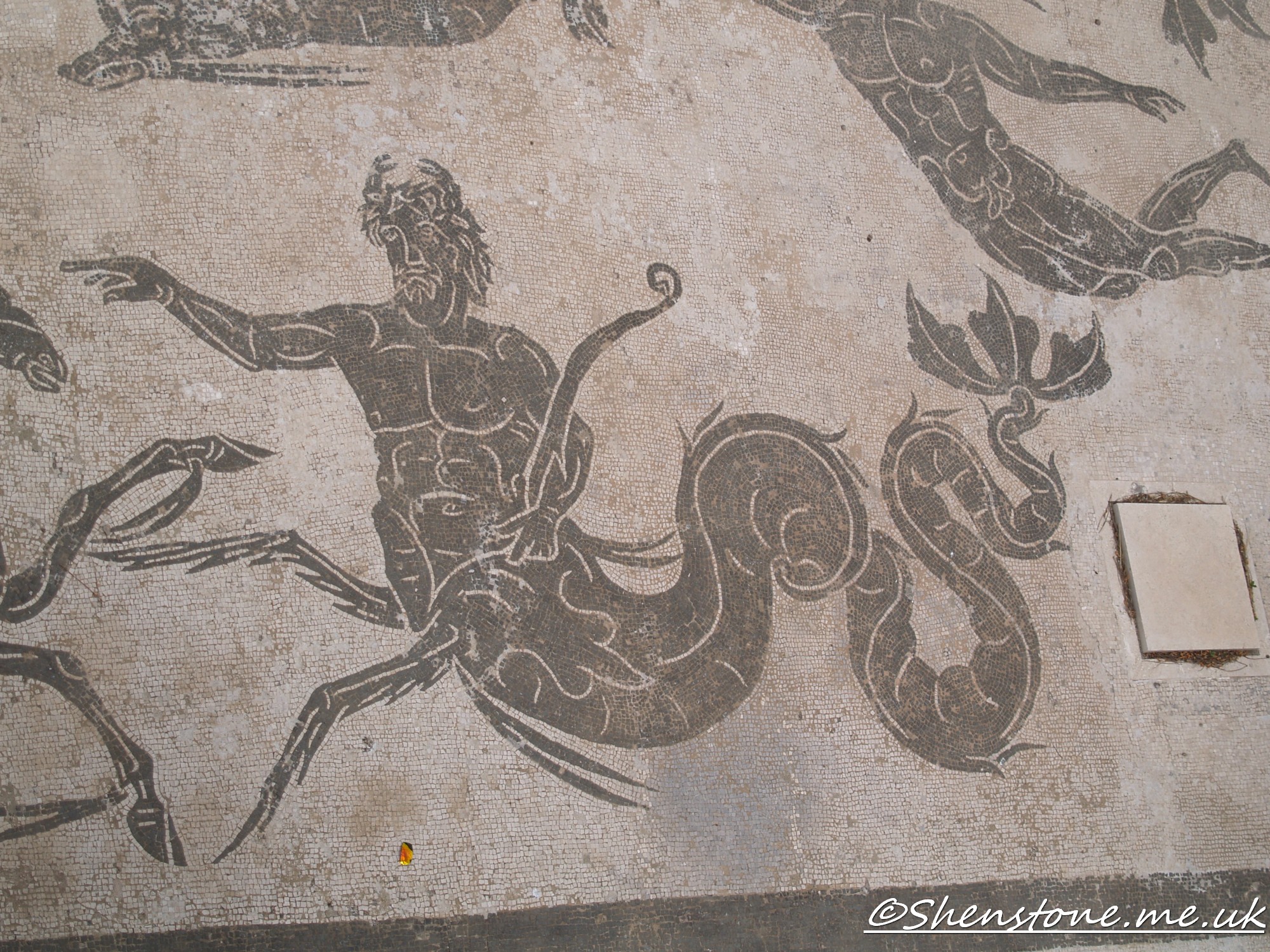 Mosaic, Ostia Antica, Italy