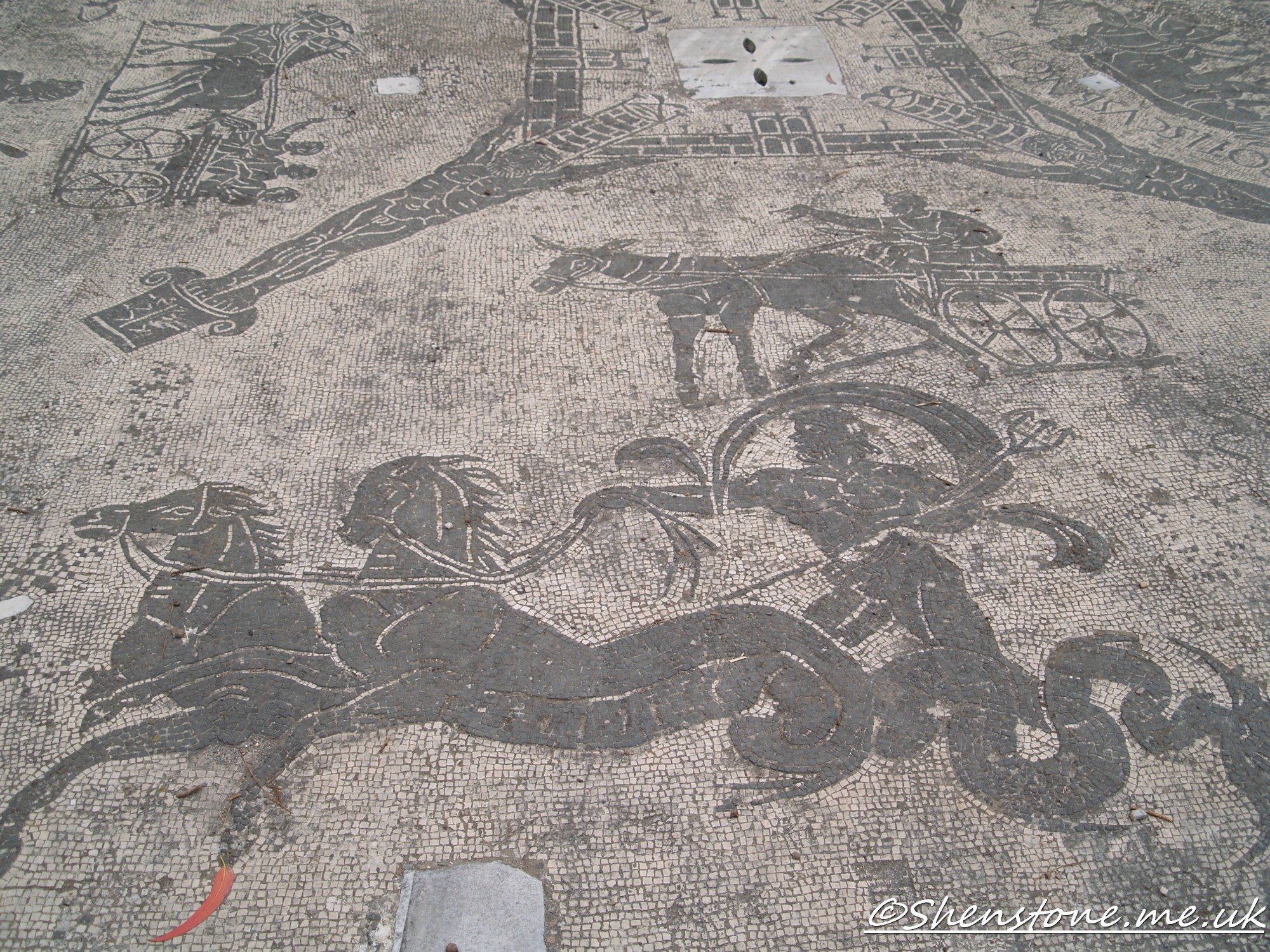 Mosaic, Ostia Antica, Italy