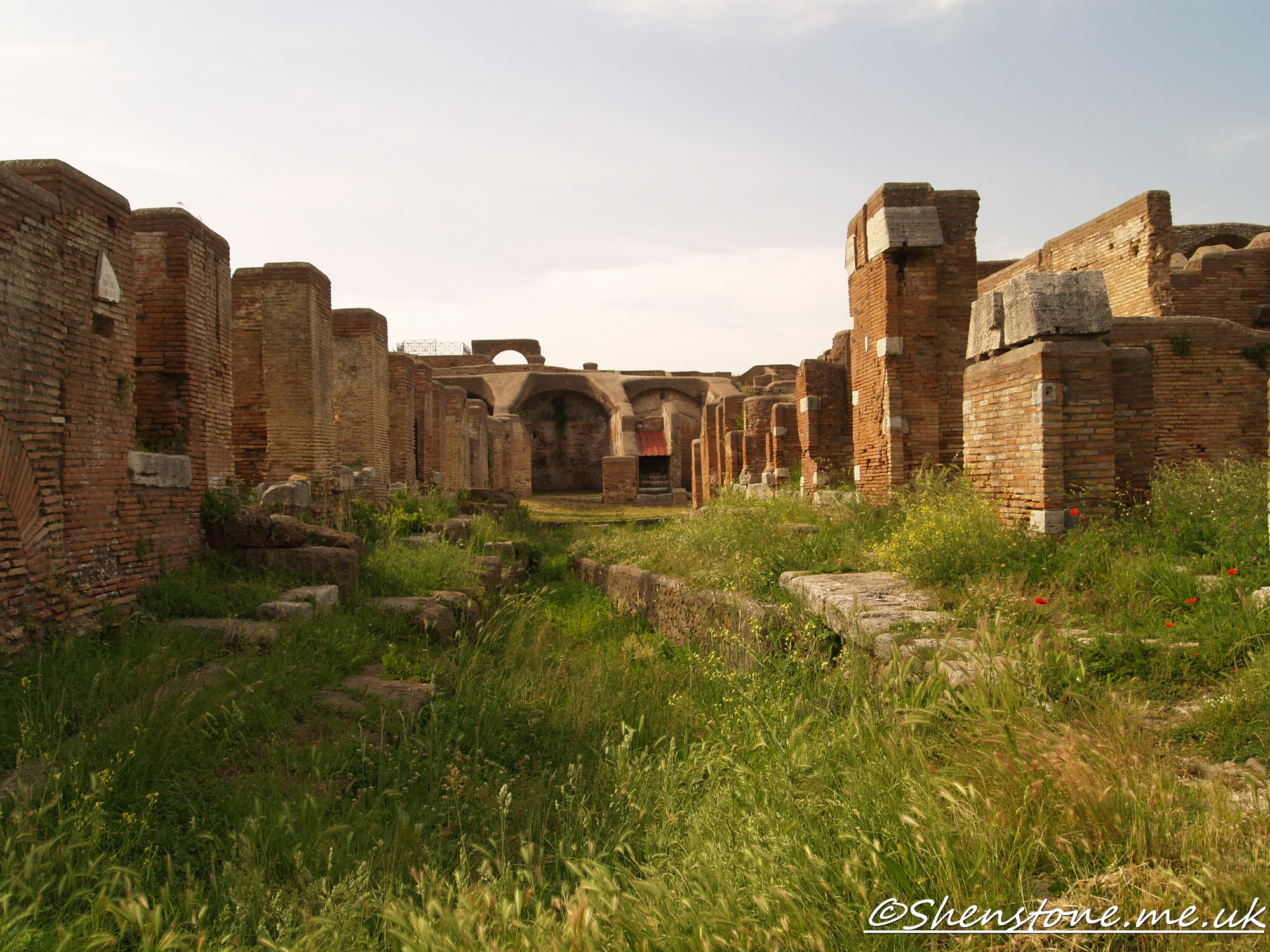 Streets fish, Ostia Antica, Italy
