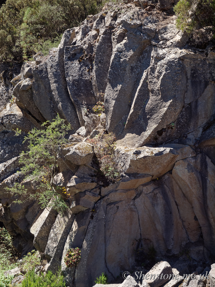 Radial Columnar Basalt on the way up Mount Teide