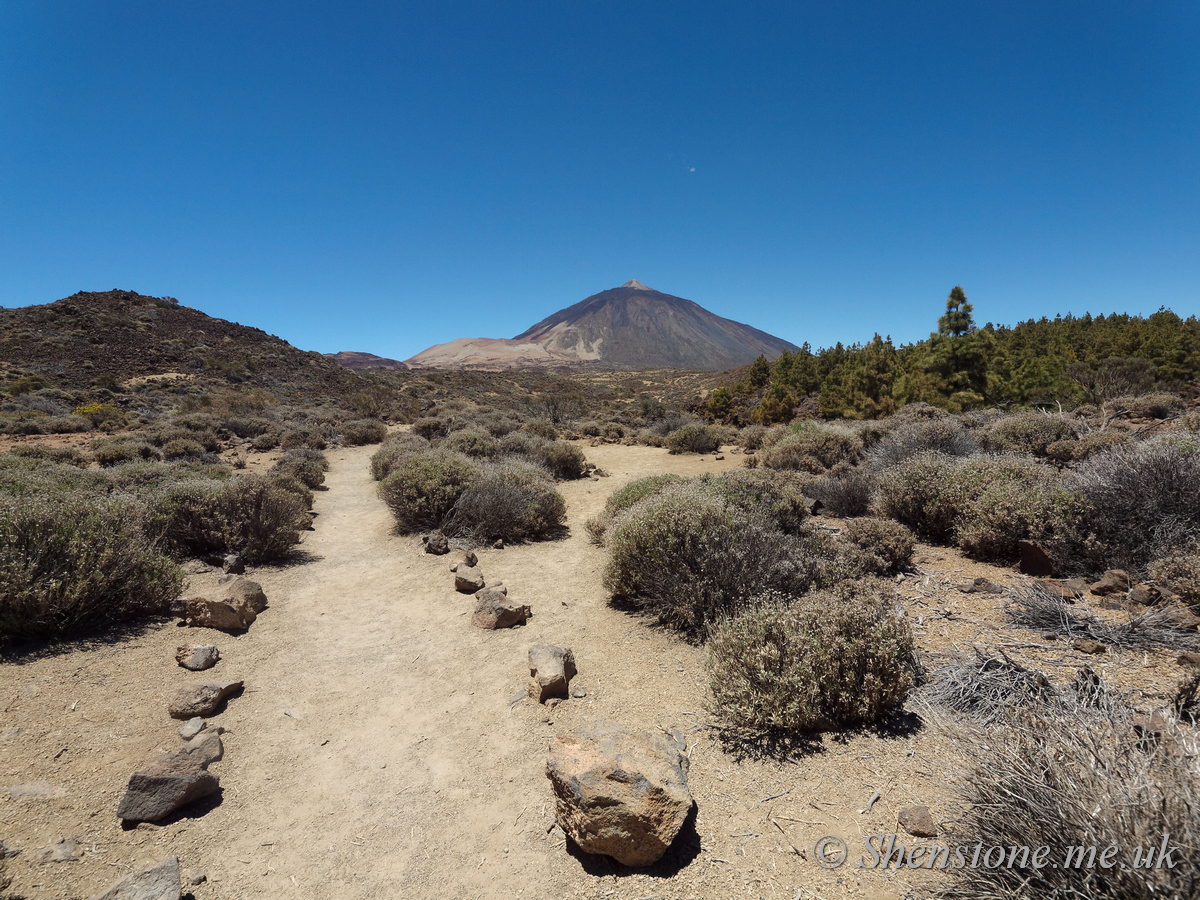 Mount Teide / Pico del Teide