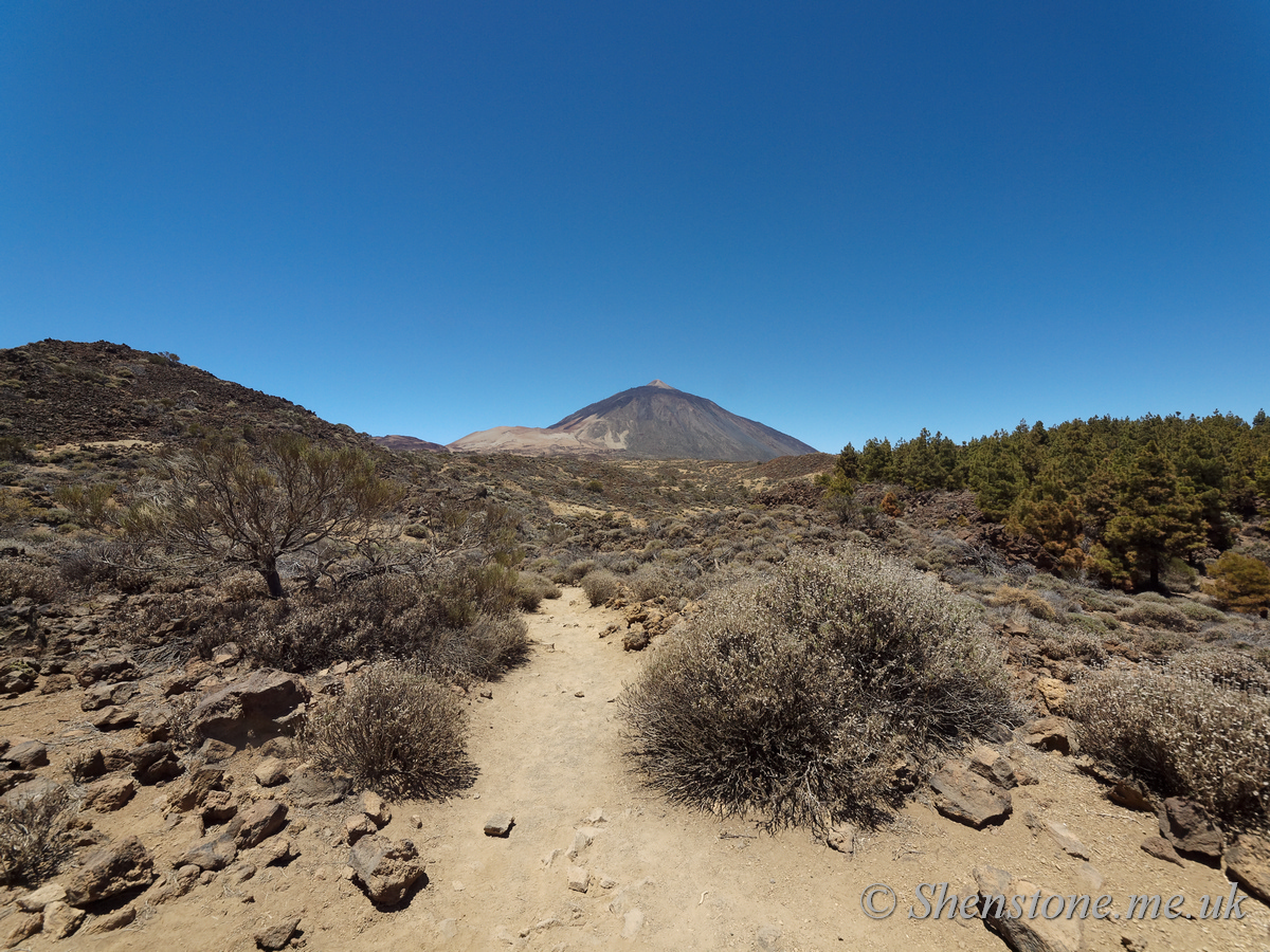 Mount Teide / Pico del Teide