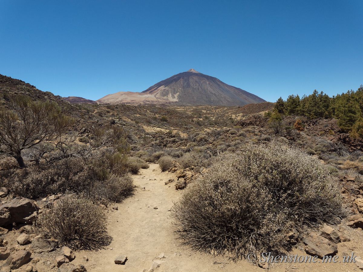 Mount Teide / Pico del Teide