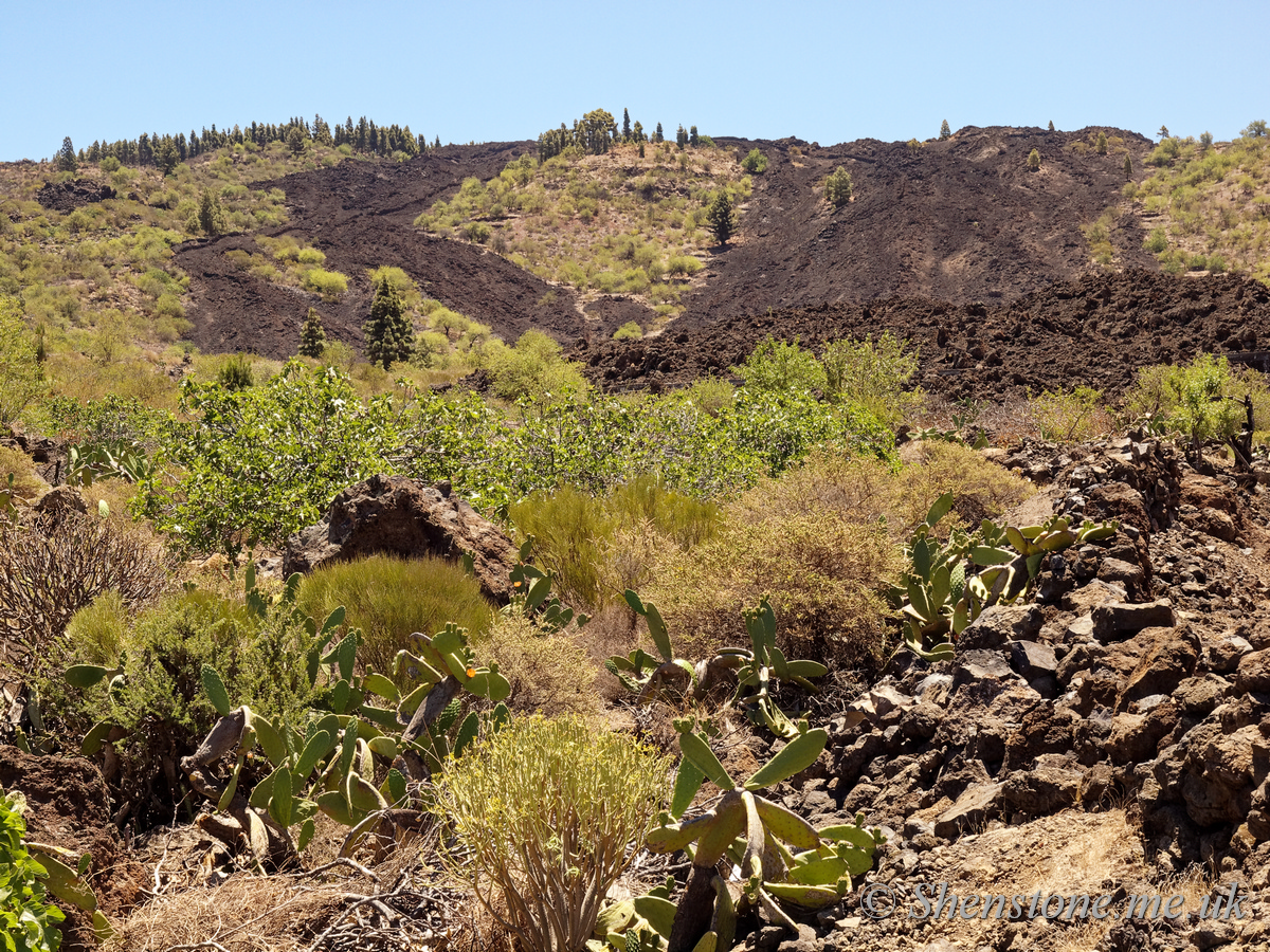 Fields with Lava incursion in recent times