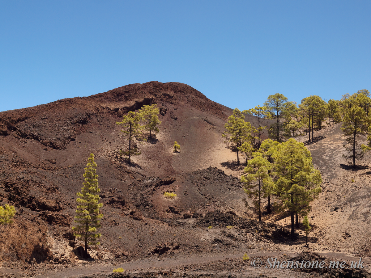 Las Canadas caldera: The devil's cauldron 