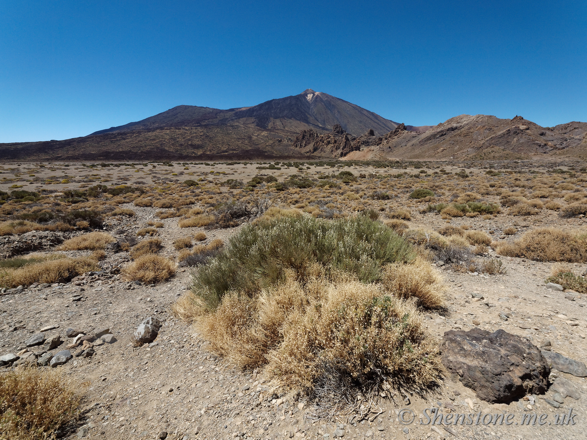 Mount Teide from Las Canadas caldera: The devil's cauldron