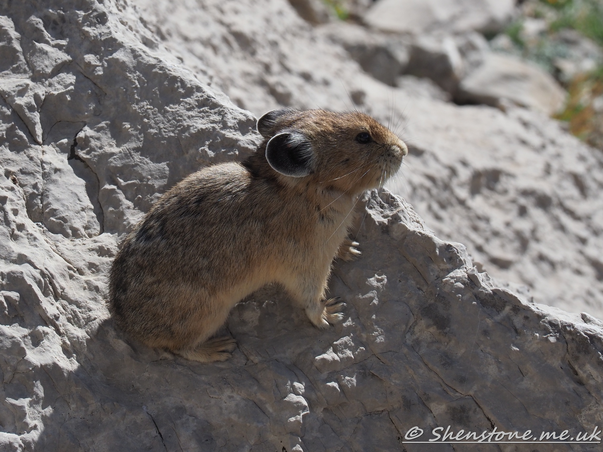 Teton National Park and Range, Wyoming, USA