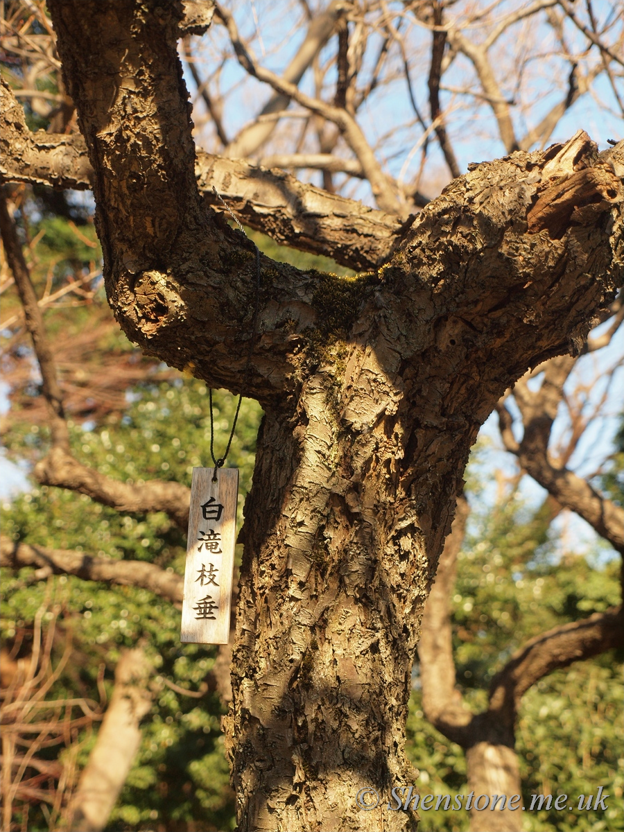 Koishikawa Korakuen Gardens, Tokyo