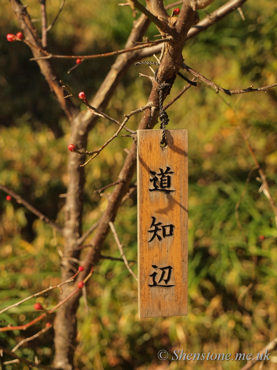 Koishikawa Korakuen Gardens, Tokyo