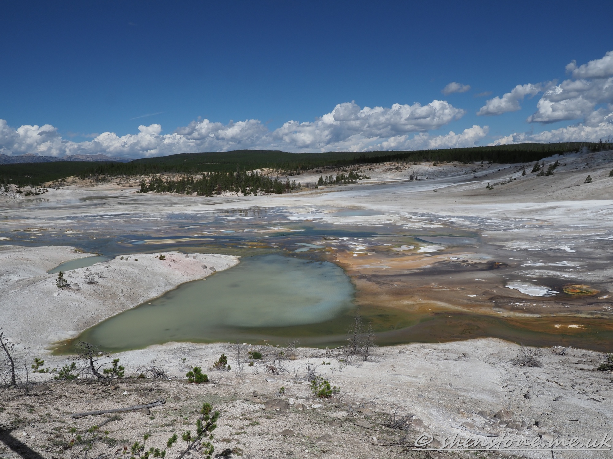 Norris Geyser Basin, Yellowstone National Park, Wyoming, USA