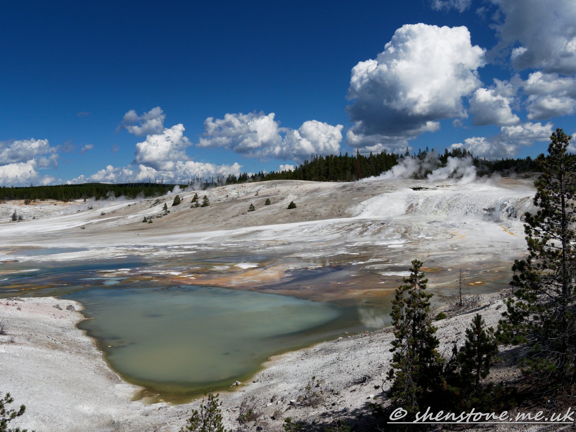 Norris Geyser Basin, Yellowstone National Park, Wyoming, USA
