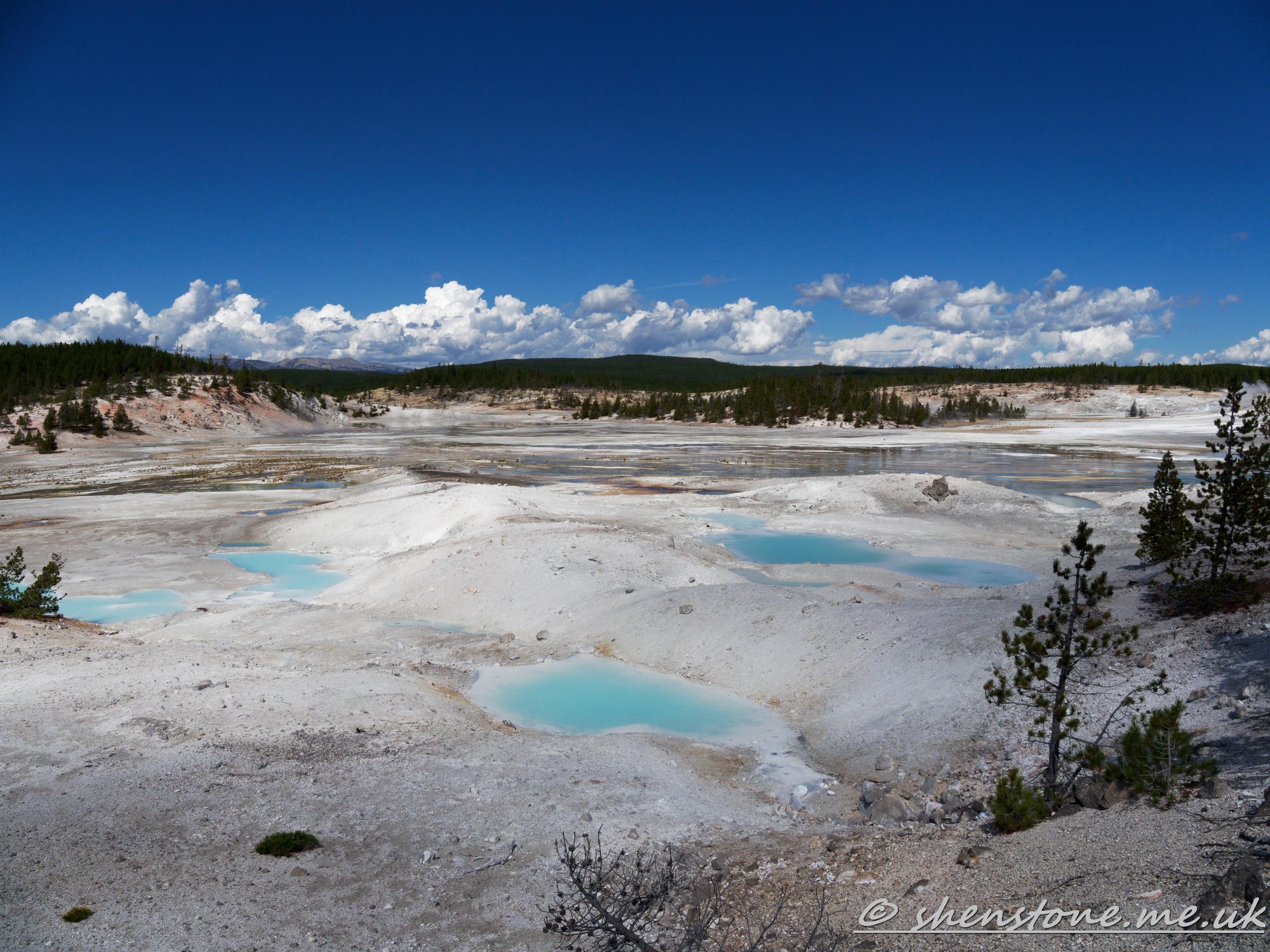 Norris Geyser Basin, Yellowstone National Park, Wyoming, USA
