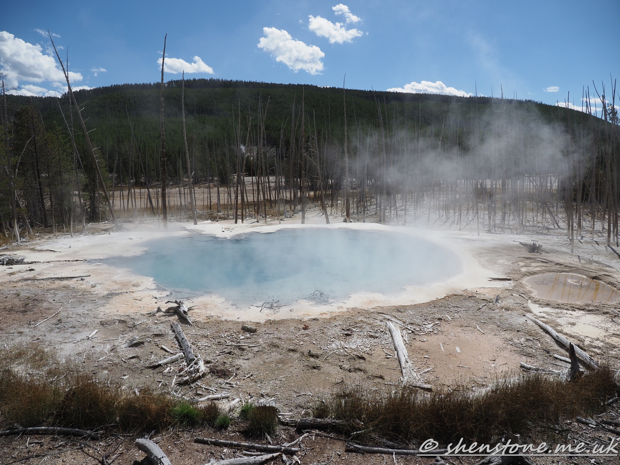 Norris Geyser Basin, Yellowstone National Park, Wyoming, USA