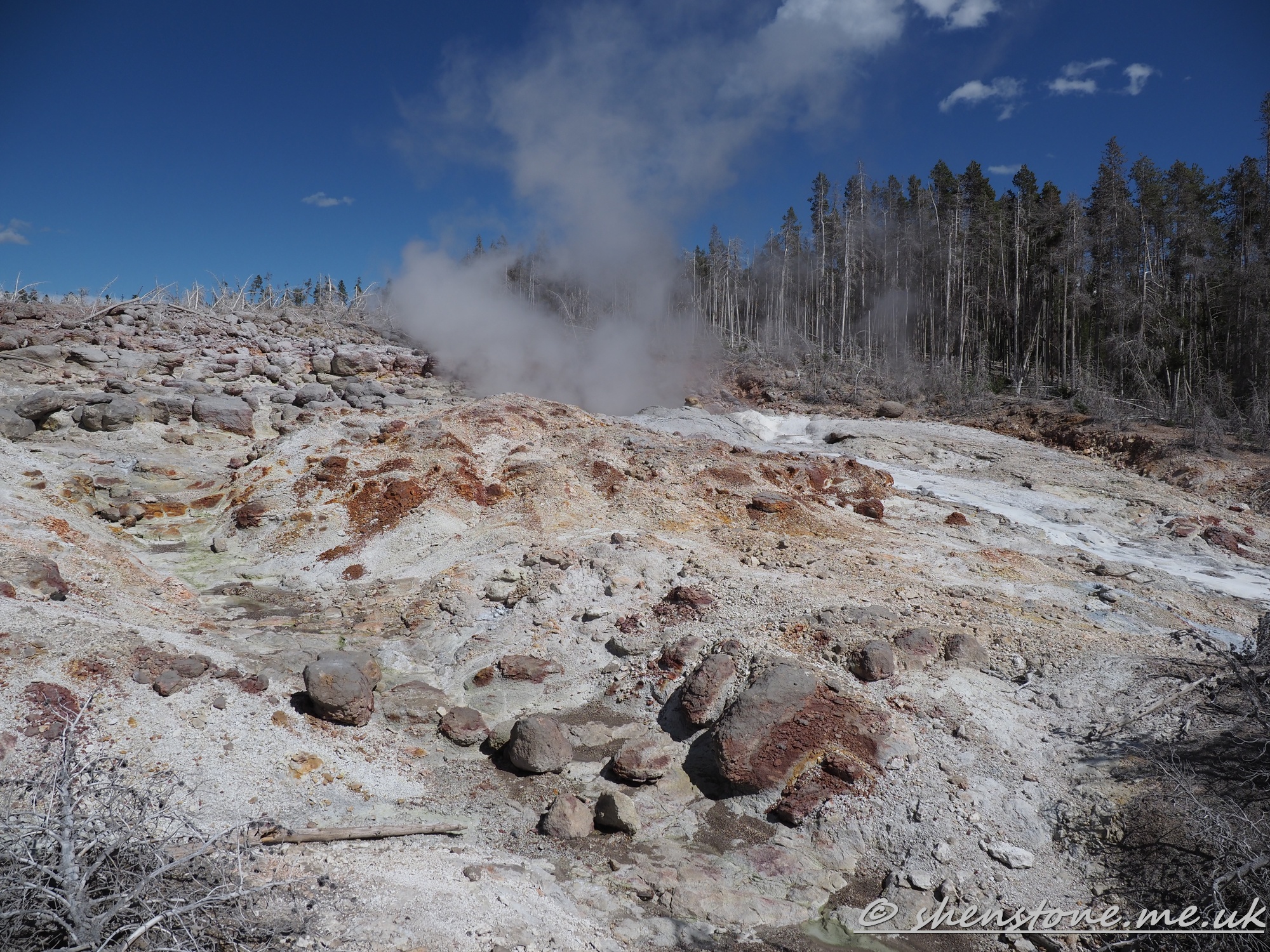 Norris Geyser Basin, Yellowstone National Park, Wyoming, USA