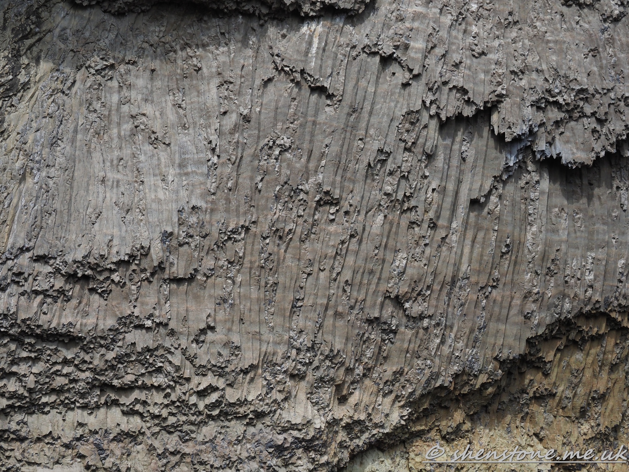 Columnar basalt, Overhanging Cliff, Yellowstone National Park, Wyoming, USA