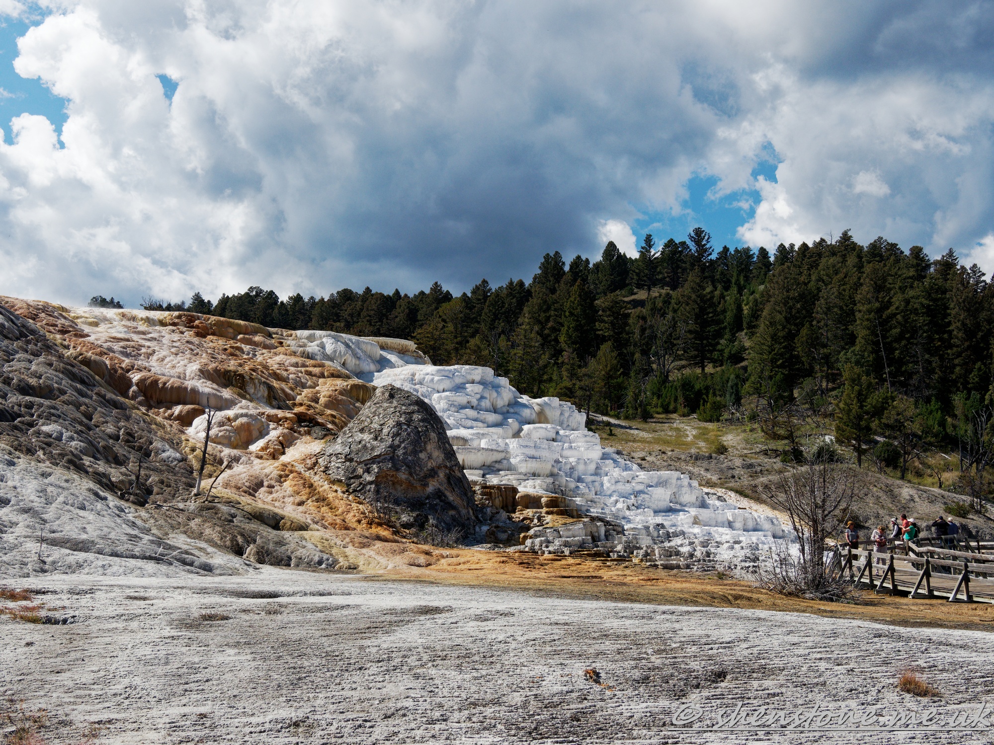 Mammoth hot Springs, Yellowstone National Park, Wyoming, USA