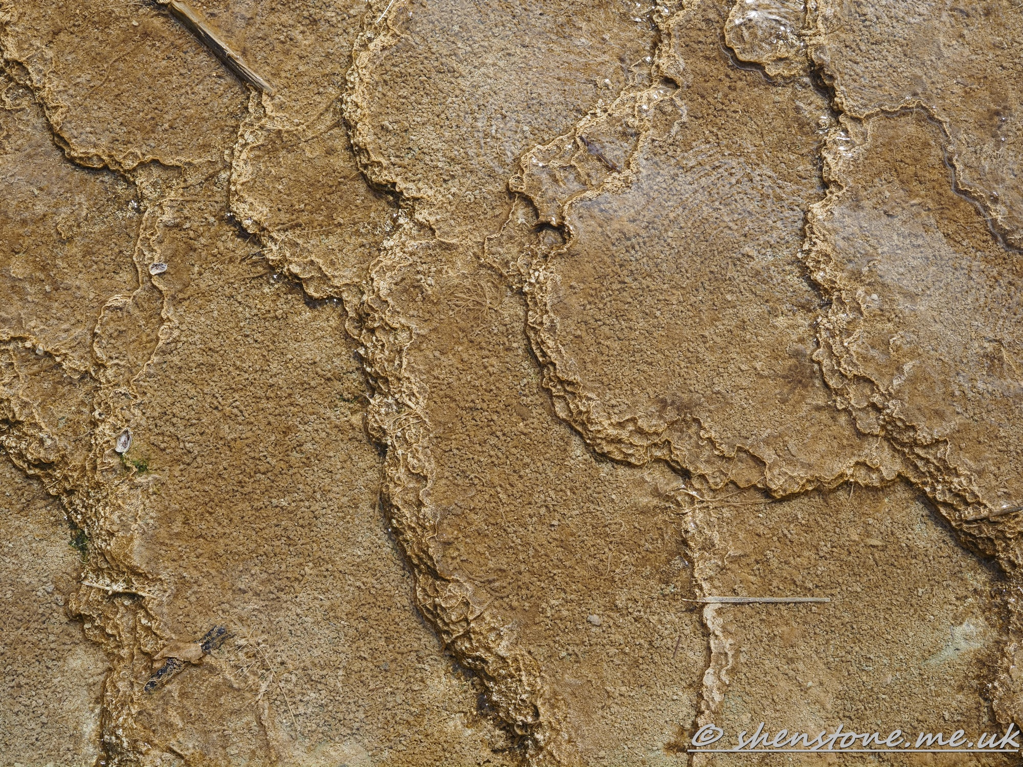 Mammoth hot Springs, Yellowstone National Park, Wyoming, USA