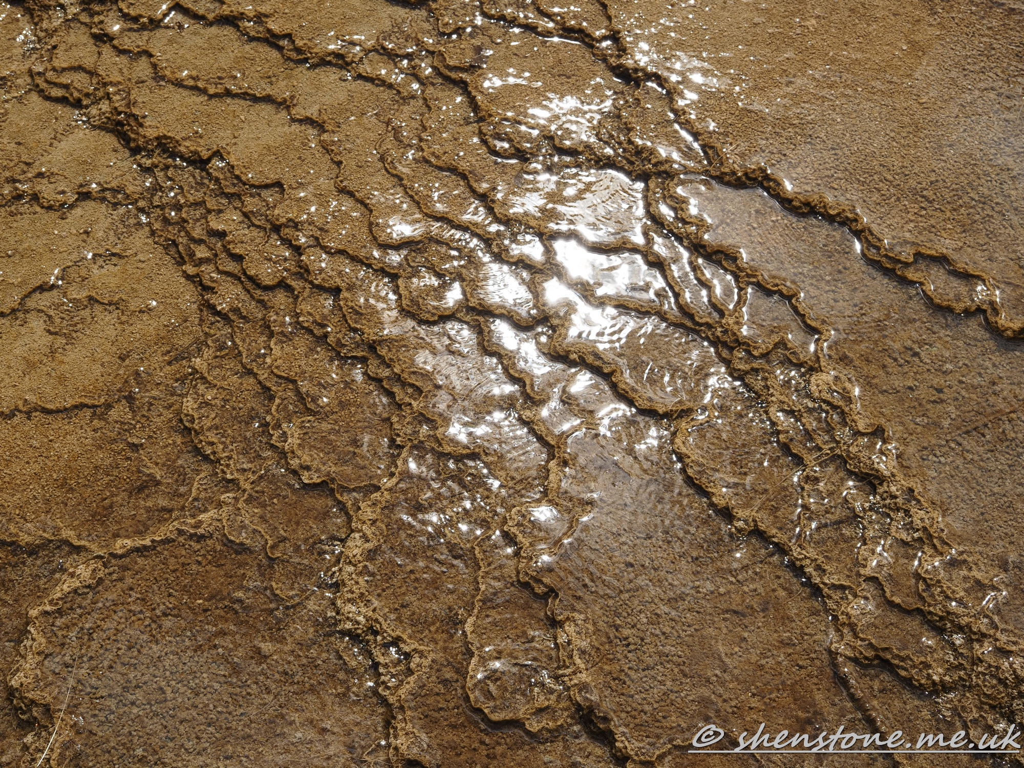 Mammoth hot Springs, Yellowstone National Park, Wyoming, USA