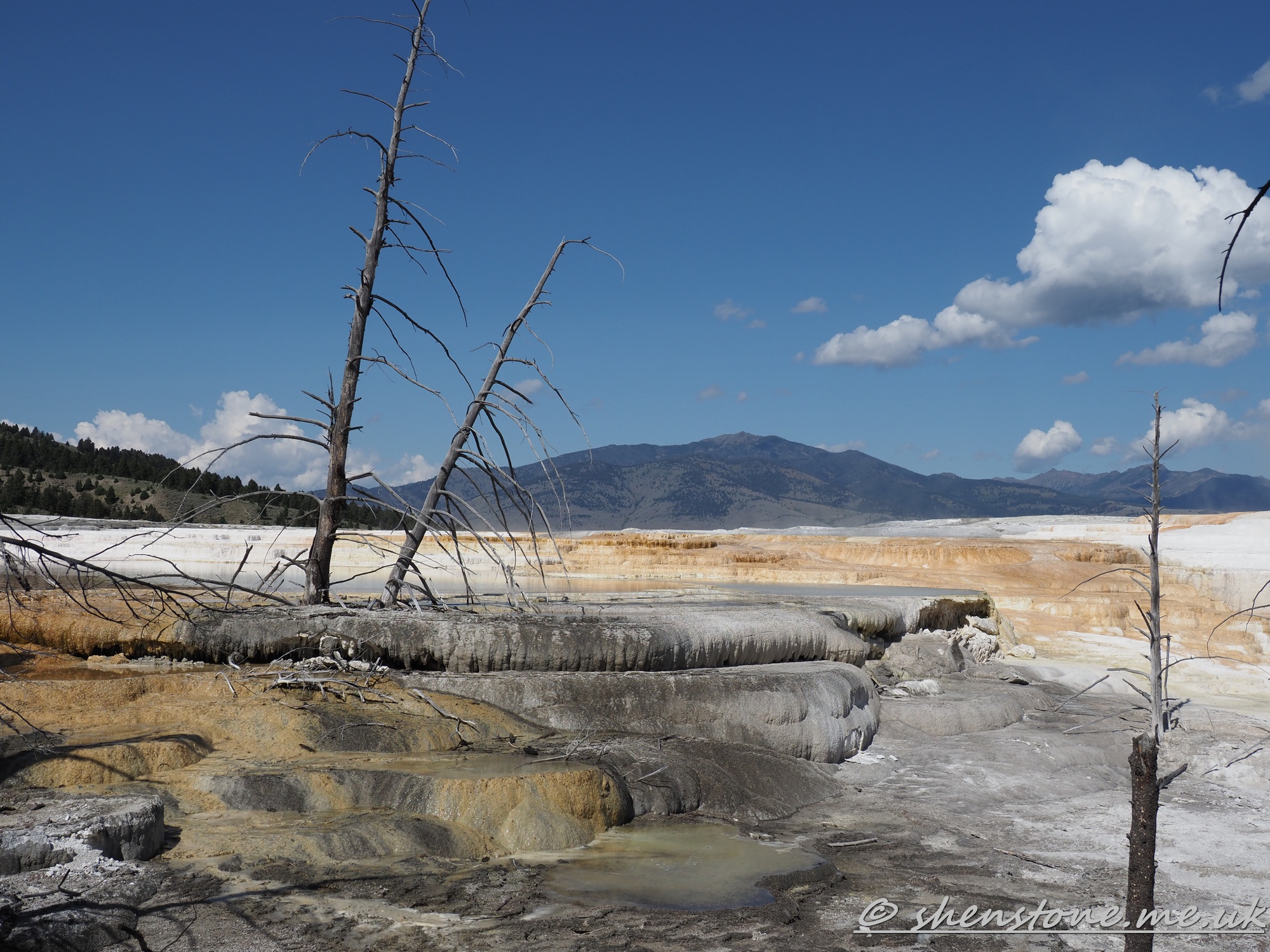 Mammoth hot Springs, Yellowstone National Park, Wyoming, USA