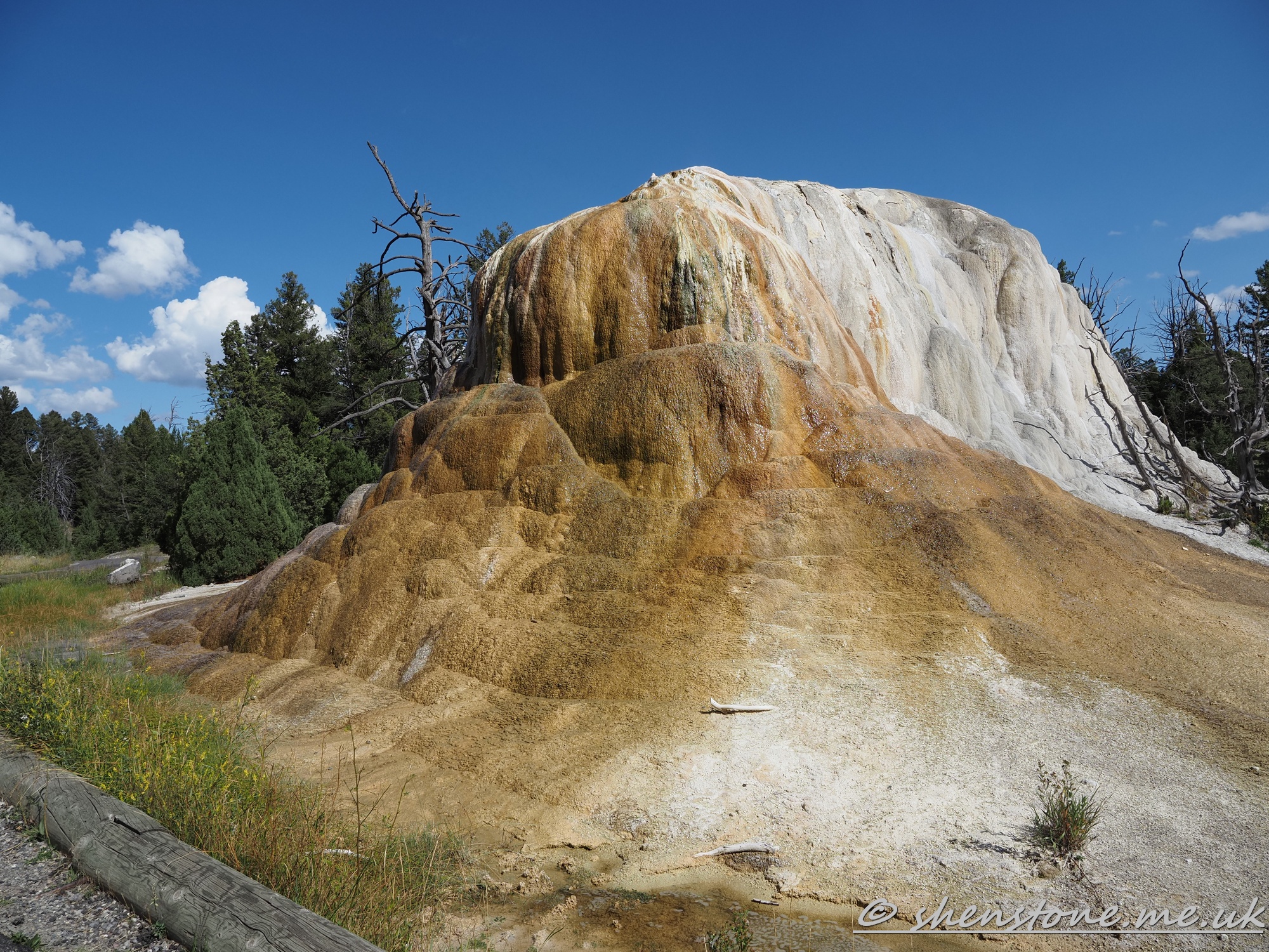 Mammoth hot Springs, Yellowstone National Park, Wyoming, USA
