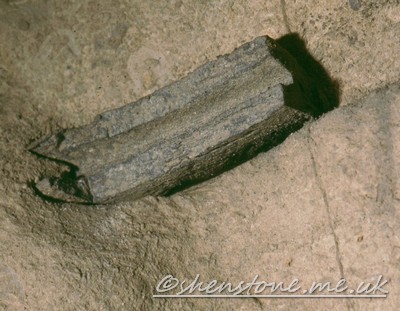 Ctenacanthus Major in Ogof Draenen