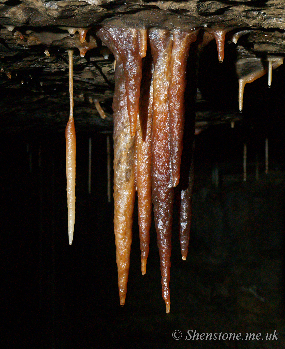 Ogof Craig y Fynnon (Rock and Fountain Cave), Wales, UK