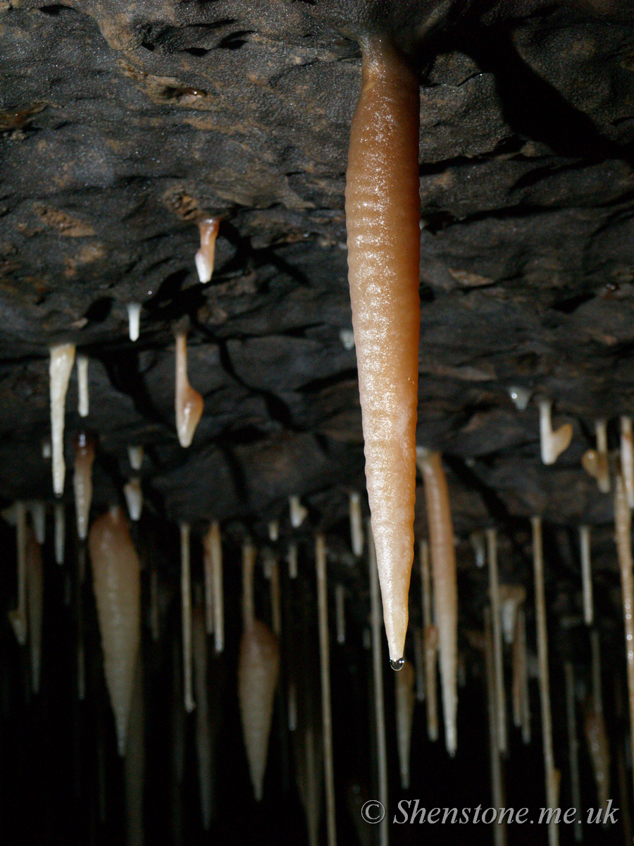 Ogof Craig y Fynnon (Rock and Fountain Cave), Wales, UK