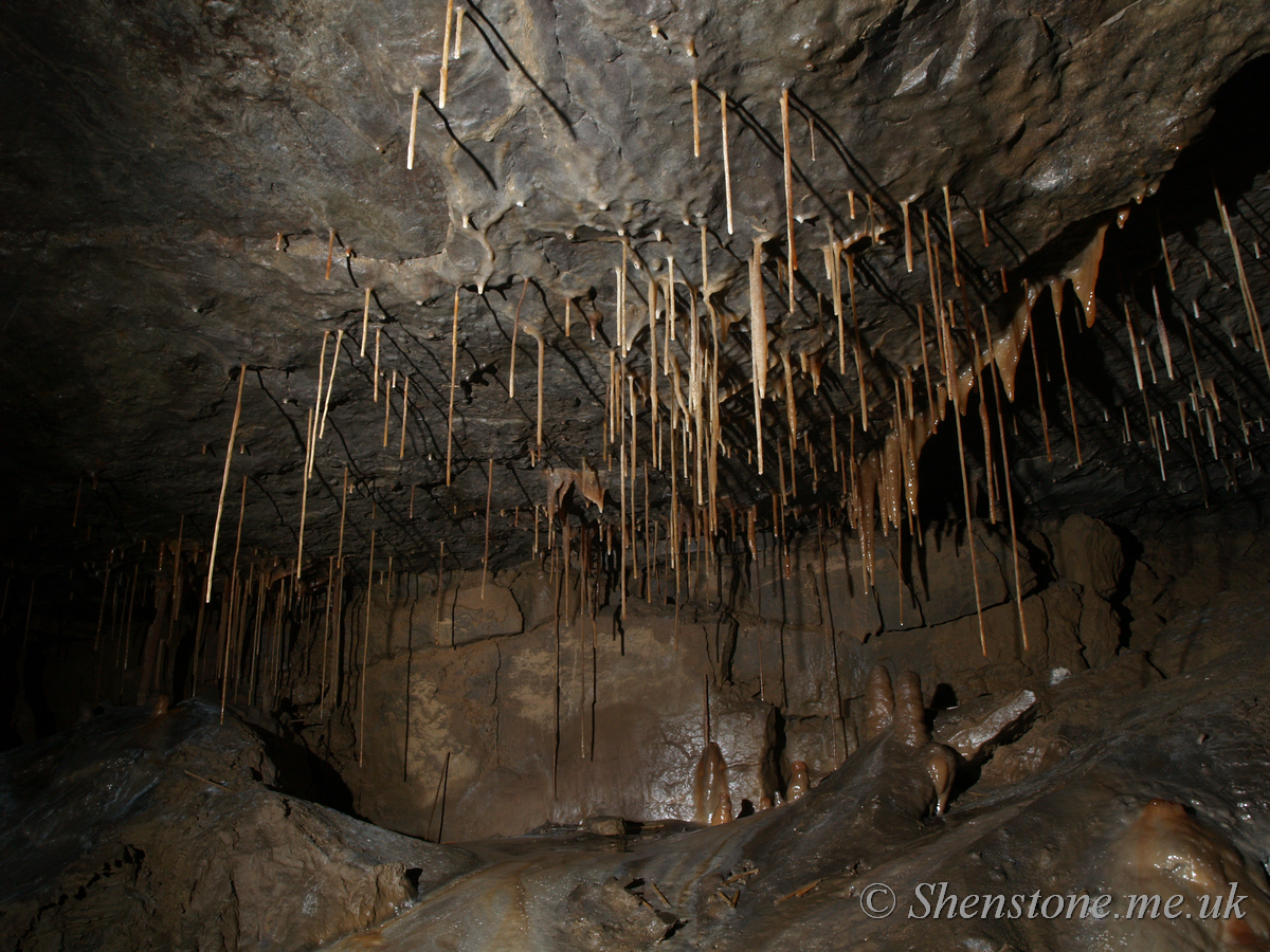 Ogof Craig y Fynnon (Rock and Fountain Cave), Wales, UK