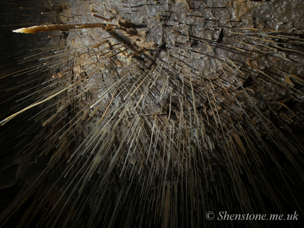 Ogof Craig y Fynnon (Rock and Fountain Cave), Wales, UK