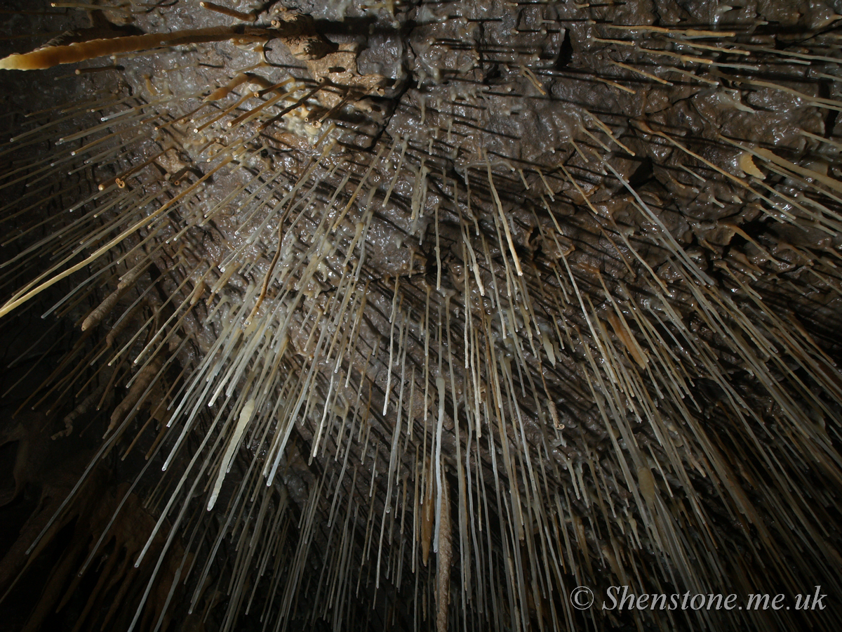 Ogof Craig y Fynnon (Rock and Fountain Cave), Wales, UK