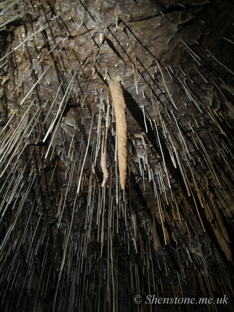 Ogof Craig y Fynnon (Rock and Fountain Cave), Wales, UK