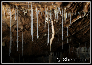 Straw Stalactites and
                        one massive stalactite, Shatter Cave, Mendip