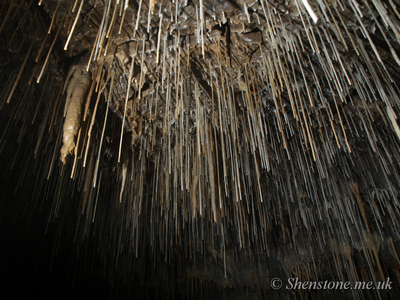 Straw Stalactites