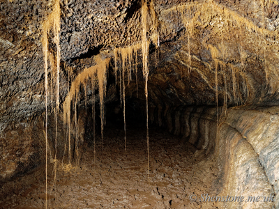 Tree Roots in Cueva del Viento Berevitas Entrance