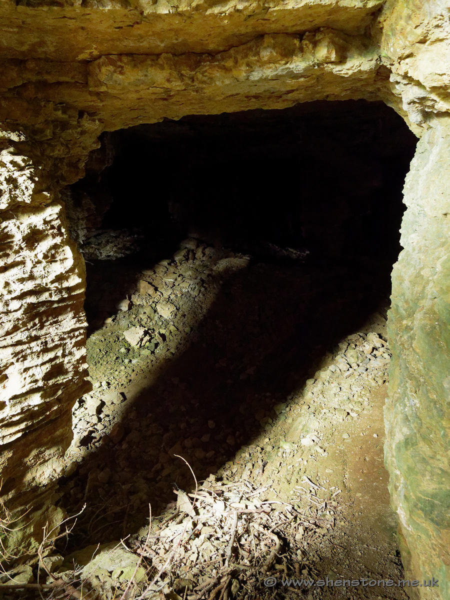 Pillar and Stall in Wenlock Limestone