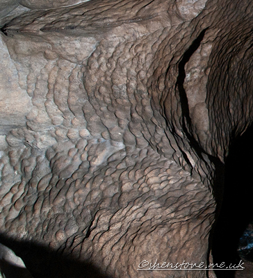 Scallops Wretched Rabbit, Yorkshire, UK 